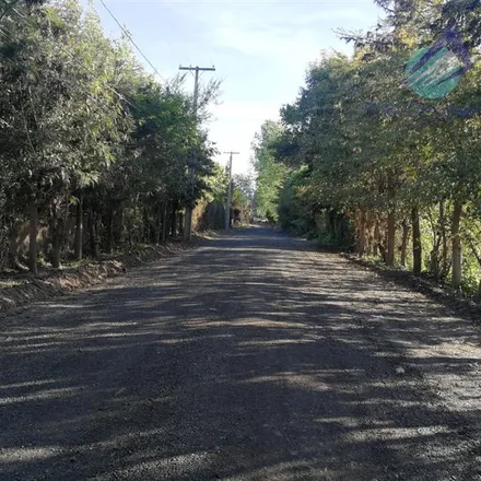 Image 2 - unnamed road, 975 0000 El Oliveto, Chile - House for sale