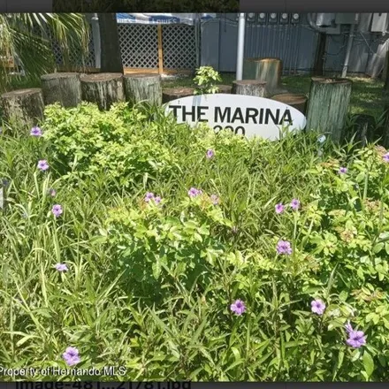 Image 3 - 277 Meres Boulevard, Tarpon Springs, FL 34689, USA - Condo for sale