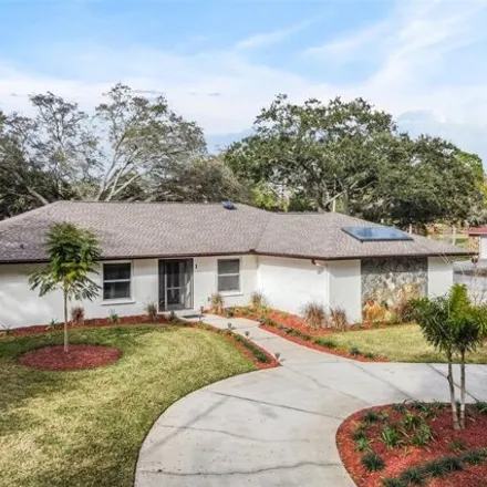 Rent this 4 bed house on 23 Fernery Lane in Safety Harbor, FL 34695