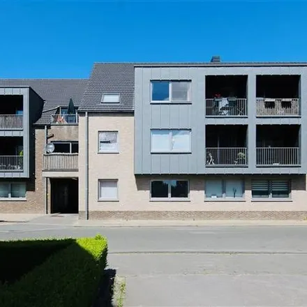 Image 6 - Grote Kouterstraat 48, 9120 Beveren, Belgium - Apartment for rent