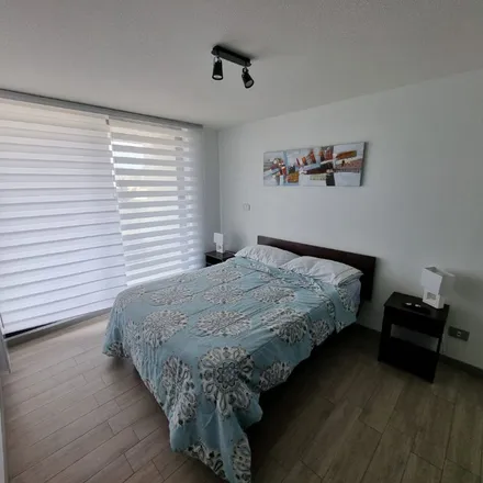 Rent this 1 bed apartment on Edificio Entrelomas II in Avenida Costa de Montemar 394, 251 1462 Concón