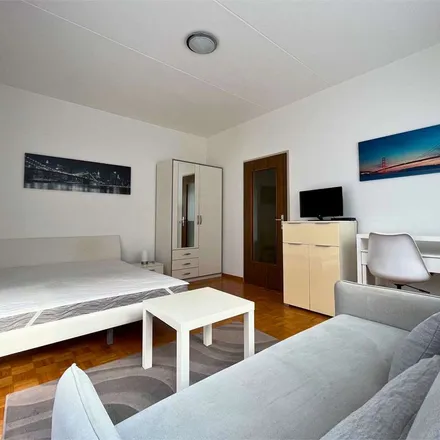 Image 3 - Via Roncaccio, 6575 Circolo del Gambarogno, Switzerland - Apartment for rent