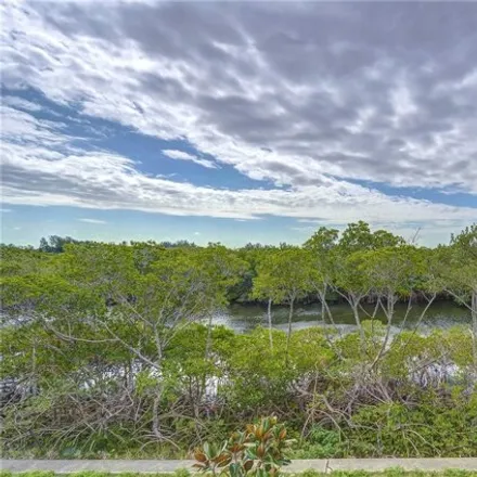 Image 2 - 3256 Mangrove Point Drive, Hillsborough County, FL 33570, USA - House for sale