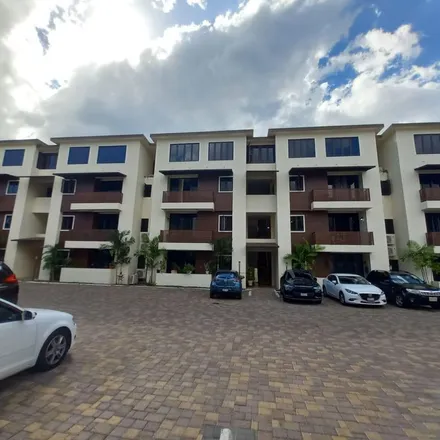 Image 5 - Ottawa Avenue, Liguanea, Kingston, Jamaica - Apartment for rent