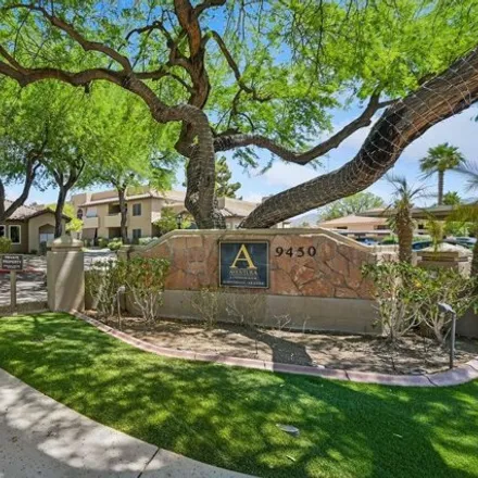 Rent this 1 bed apartment on 9451 East Becker Lane in Scottsdale, AZ 85260