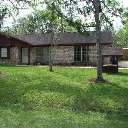 Image 1 - 21 Holly Chase, Brazoria County, TX 77531, USA - House for sale