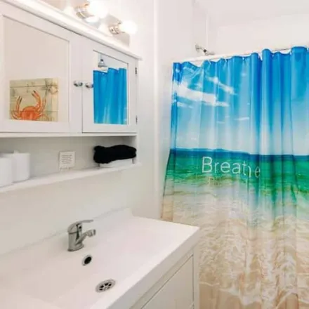 Image 3 - Saint Pete Beach, FL, 33706 - Apartment for rent