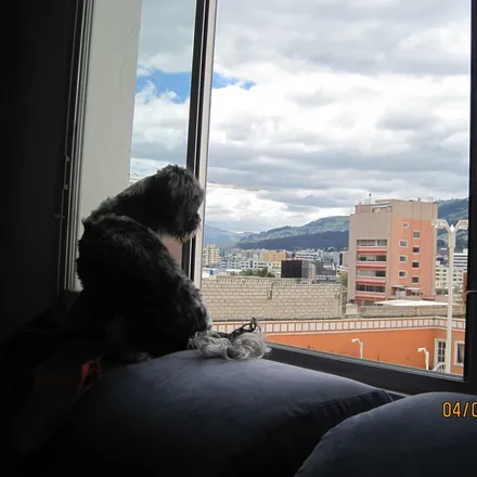 Image 5 - Quito, Los Laureles, P, EC - Apartment for rent