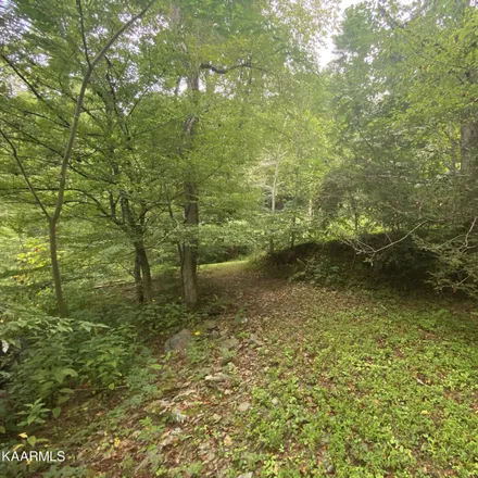 Image 9 - 6519 Old Walland Highway, Miller Cove, Blount County, TN 37886, USA - House for sale