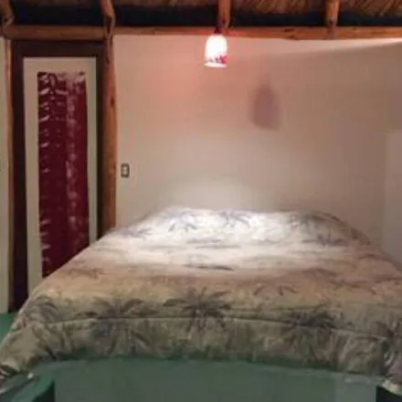 Rent this 1 bed apartment on El Pescadero in Municipio de La Paz, Mexico