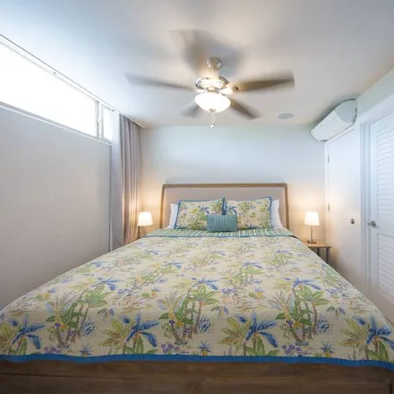Rent this 1 bed condo on Paia in HI, 96779