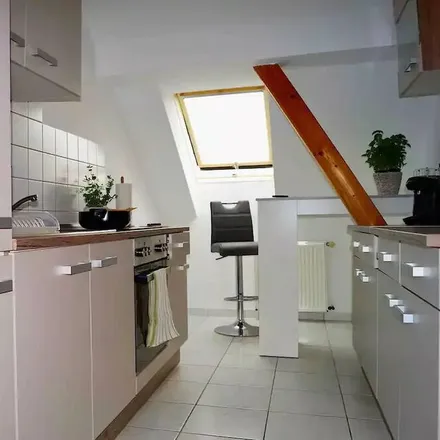 Image 8 - Dessau-Roßlau, Saxony-Anhalt, Germany - Apartment for rent