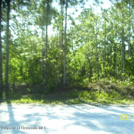 Buy this studio house on 13201 Canada Goose Road in Hernando County, FL 34614