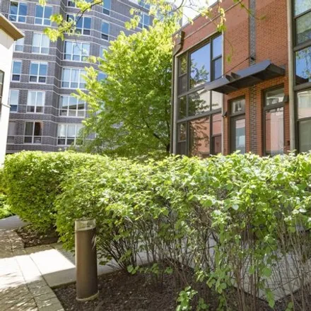 Image 2 - 903-933 North Kingsbury Street, Chicago, IL 60610, USA - Townhouse for rent