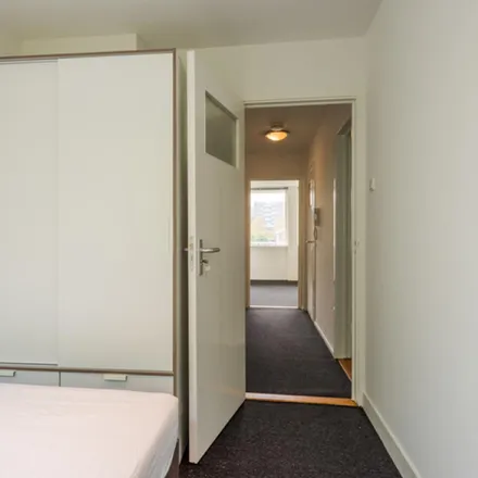 Image 2 - Van der Boechorststraat 84, 1081 BW Amsterdam, Netherlands - Room for rent