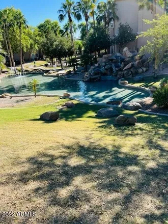 Rent this 1 bed apartment on 10366 in East Van Buren Street, Phoenix