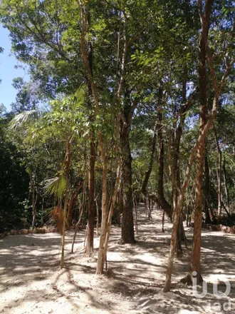 Image 3 - unnamed road, 77774 Tulum, ROO, Mexico - Apartment for sale