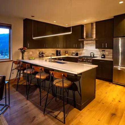 Image 2 - Stray Dog Cantina, 105 Sutton Place, Taos Ski Valley, Taos County, NM 87525, USA - Condo for sale