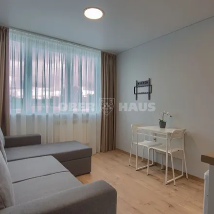 Rent this 1 bed apartment on Žolyno g. in 10204 Vilnius, Lithuania