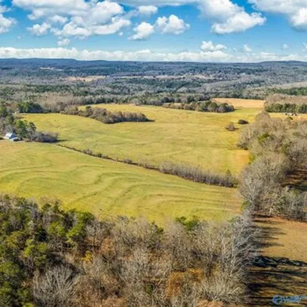 Image 3 - Pumpkin Center Road Northeast, Fort Payne, AL 35967, USA - House for sale