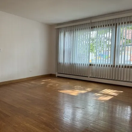 Image 5 - 4762 N Lotus Ave Unit 1S, Chicago, Illinois, 60630 - House for rent