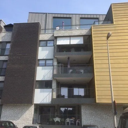 Image 7 - Leonardo, Burgemeester Van Lindtstraat 6, 3900 Pelt, Belgium - Apartment for rent