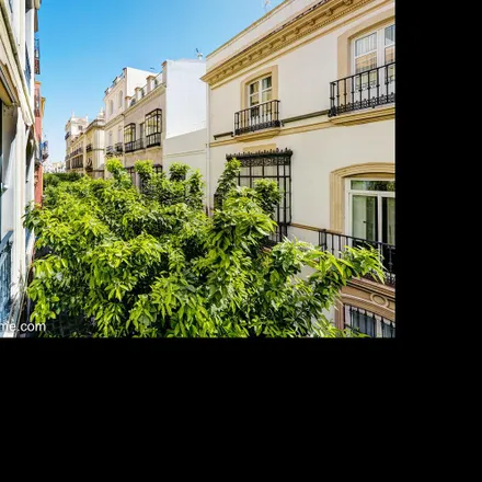 Image 4 - Calle García de Vinuesa, 16, 41001 Seville, Spain - Apartment for rent
