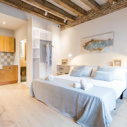 Rent this studio apartment on Fundacio APIP-ACAM in Carrer de la Duana, 08001 Barcelona