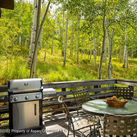 Image 6 - 112 Elk Ridge Lane, Snowmass Village, Pitkin County, CO 81615, USA - House for sale