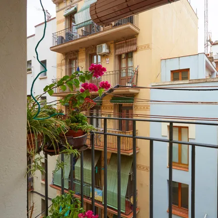 Image 7 - Carrer de Sant Miquel, 08001 Barcelona, Spain - Apartment for rent
