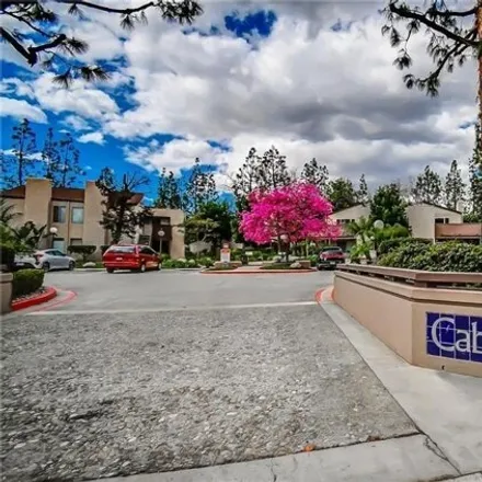 Rent this 1 bed condo on 1230 Cabrillo Park Dr Apt E in Santa Ana, California