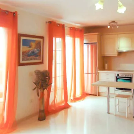 Image 8 - Palm Mar, Avenida El Palm-Mar, 38650 Arona, Spain - Apartment for rent
