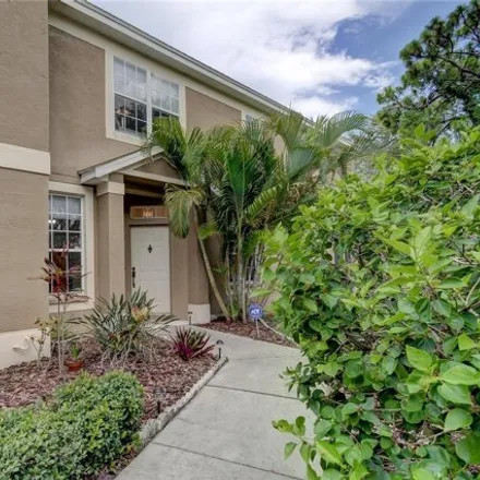 Image 2 - 2599 Newbern Drive, Pinellas County, FL 33761, USA - House for rent