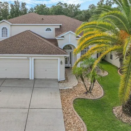 Image 4 - 3602 Morgans Bluff Ct, Land O Lakes, Florida, 34639 - House for sale