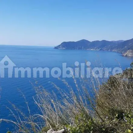 Rent this 3 bed apartment on Spiaggia dell'Olivo in Via Olivo, 19025 Le Grazie SP