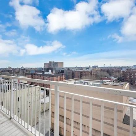 Image 3 - 346 Coney Island Avenue, New York, NY 11218, USA - Condo for sale