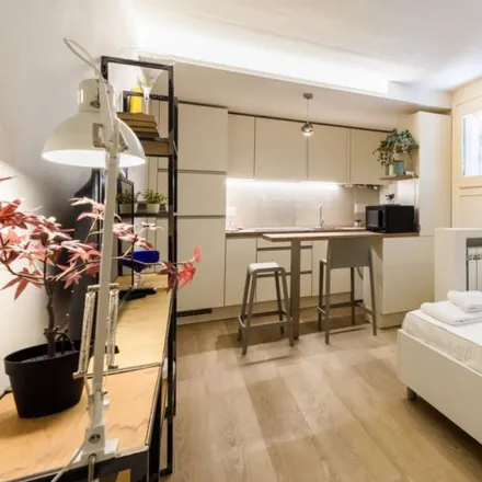 Rent this studio apartment on Come Dio Comanda in Via di San Niccolò, 69/R