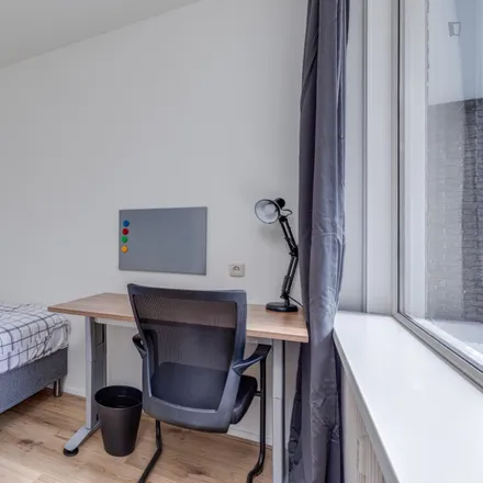 Image 1 - Philip Vingboonsstraat 177, 3067 ZB Rotterdam, Netherlands - Room for rent