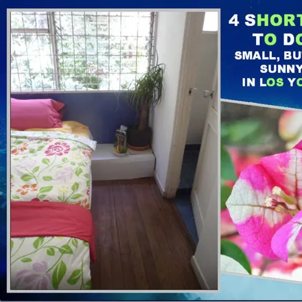 Image 6 - Catedral, Francisco Peralta, SAN JOSE PROVINCE, CR - Apartment for rent