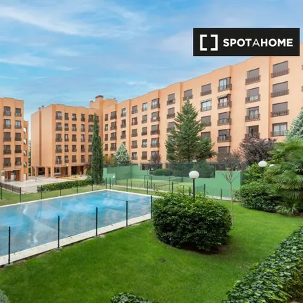 Image 12 - BBVA, Calle de Pirra, 28042 Madrid, Spain - Apartment for rent