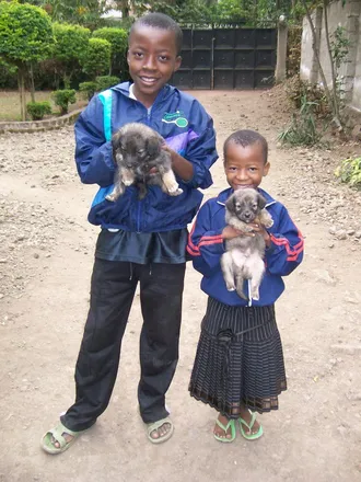 Image 5 - Arusha, Kaloleni Mashariki, ARUSHA, TZ - Room for rent