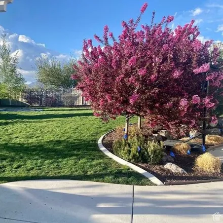 Image 6 - 846 West Canyon View Court, American Fork, UT 84003, USA - House for sale