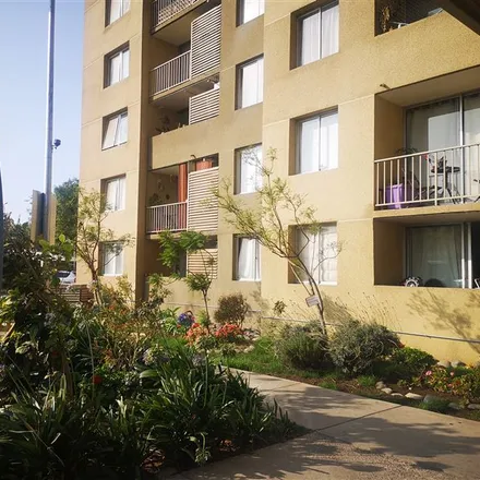 Image 8 - Privado, Las Araucarias, 919 0847 Provincia de Santiago, Chile - Apartment for rent