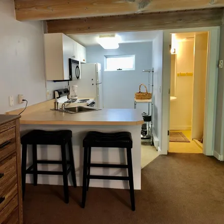 Image 3 - 914 East Waters Avenue, Aspen, CO 81611, USA - Condo for rent