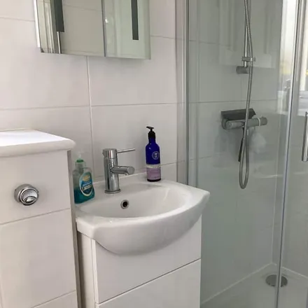 Image 3 - Brighton and Hove, BN3 2TN, United Kingdom - House for rent