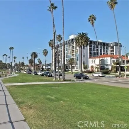 Image 3 - The Versailles, 2601 East Ocean Boulevard, Long Beach, CA 90803, USA - Condo for rent