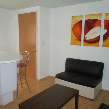 Rent this 1 bed apartment on Calle Hidalgo in Colonia El Piru (Santa Fe), 01210 Mexico City