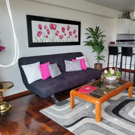 Image 9 - Ricardo Palma Avenue, Miraflores, Lima Metropolitan Area 15047, Peru - Apartment for sale