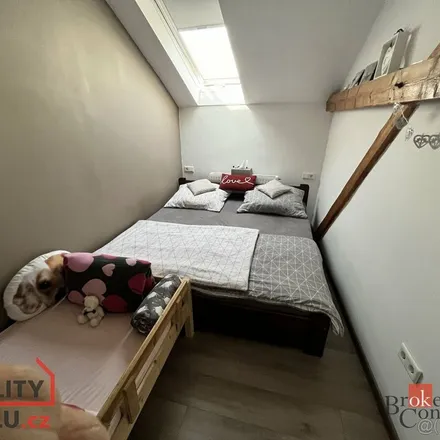 Rent this 4 bed apartment on Dolní náměstí 138/23 in 746 01 Opava, Czechia