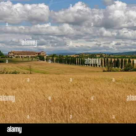 Image 3 - unnamed road, Asciano SI, Italy - House for rent